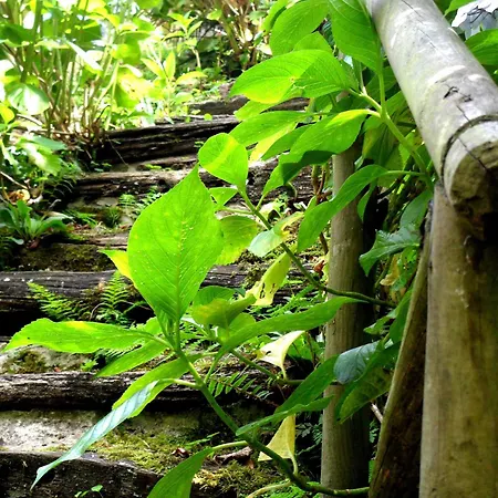 La Del Alba منزل ريفي *